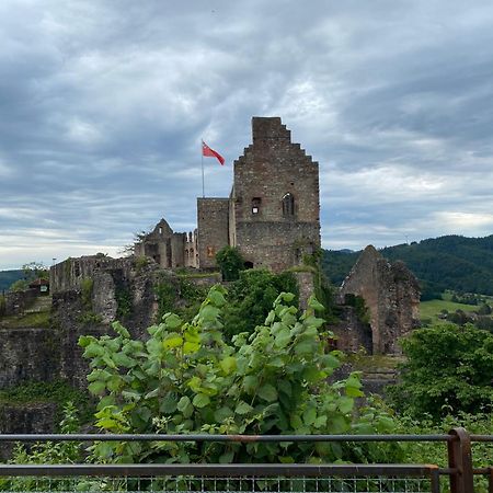 Appartamento Idyllische Aussicht Emmendingen Esterno foto